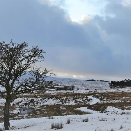 The Garsdale Bed & Breakfast - Goats And Oats At Garsdale-2
